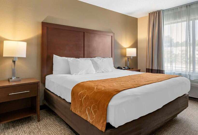 בית מלון כפרי Comfort Suites Grandville   Grand Rapids Sw