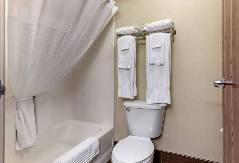 Отель Comfort Suites Grandville   Grand Rapids Sw