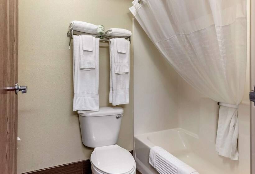 בית מלון כפרי Comfort Suites Grandville   Grand Rapids Sw