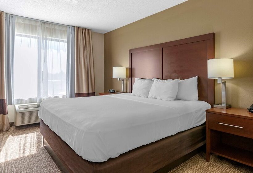 בית מלון כפרי Comfort Suites Grandville   Grand Rapids Sw
