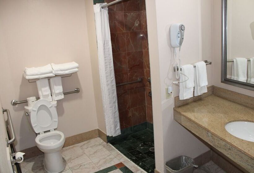 酒店 Holiday Inn Express & Suites Leesburg   Historic District, An Ihg