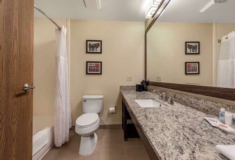 酒店 Comfort Suites Mason Near Kings Island