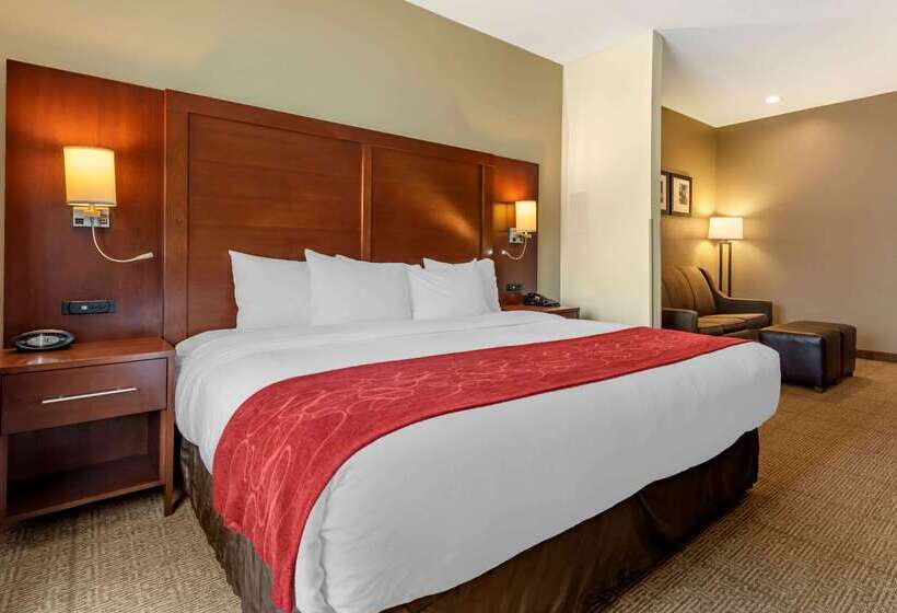 酒店 Comfort Suites Mason Near Kings Island