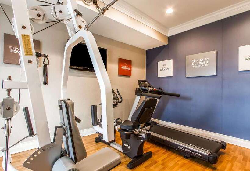 فندق Comfort Suites