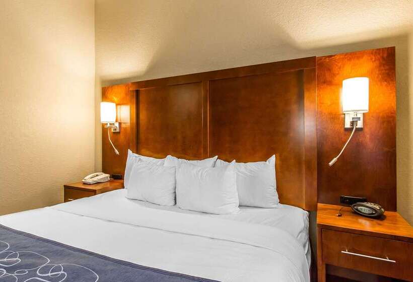 فندق Comfort Suites