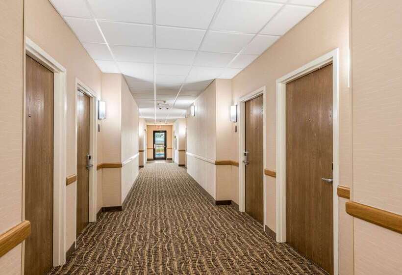فندق Comfort Suites Monroe