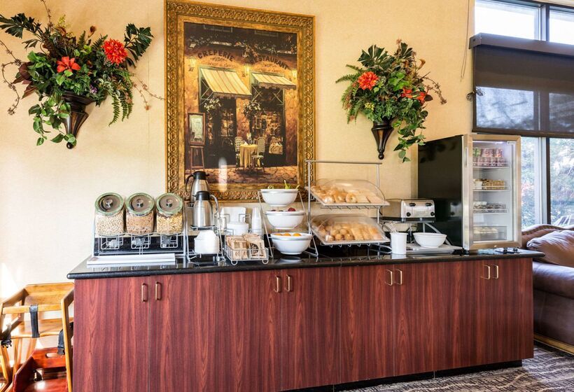 בית מלון כפרי Comfort Suites Near Nasa  Clear Lake