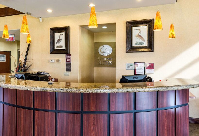 酒店 Comfort Suites Near Nasa  Clear Lake