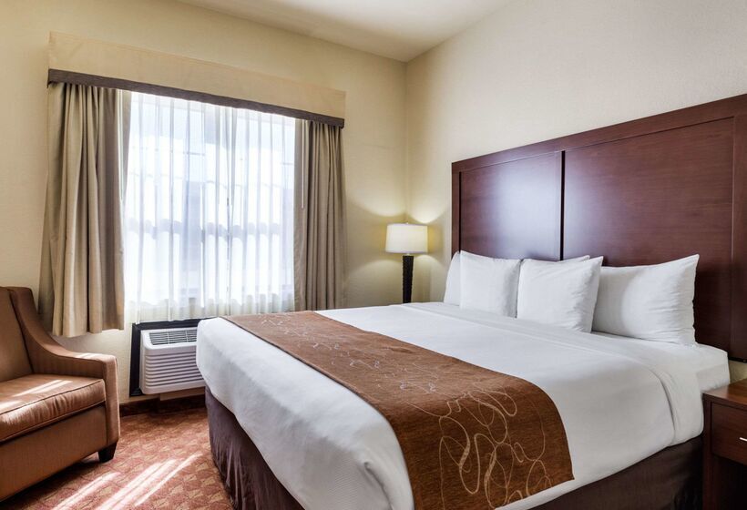 酒店 Comfort Suites Near Nasa  Clear Lake