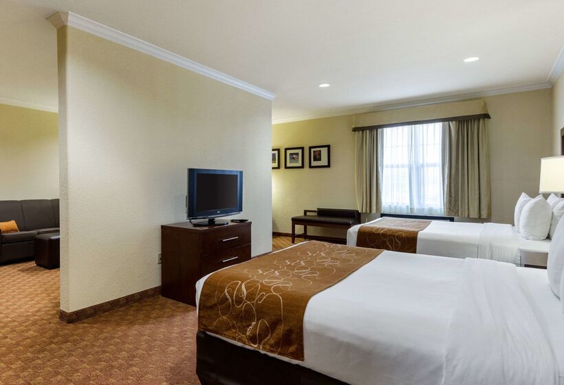 酒店 Comfort Suites Near Nasa  Clear Lake