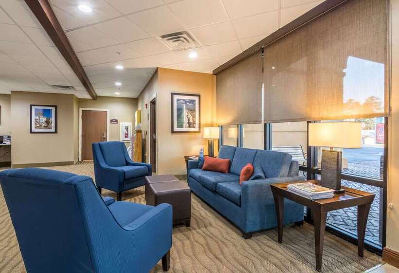 ホテル Comfort Suites