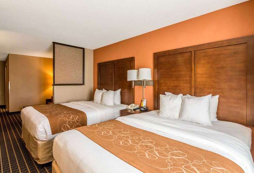 ホテル Comfort Suites