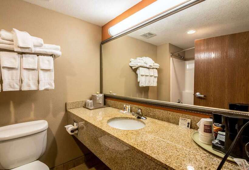 ホテル Comfort Suites