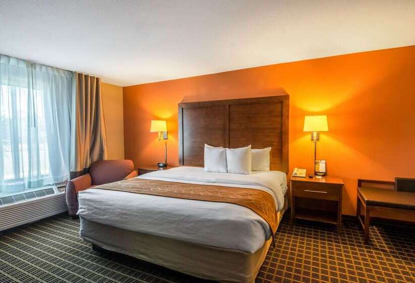 ホテル Comfort Suites