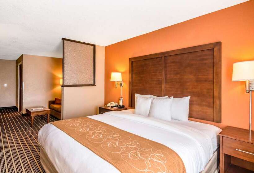 ホテル Comfort Suites