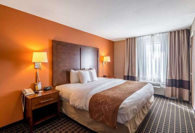 ホテル Comfort Suites