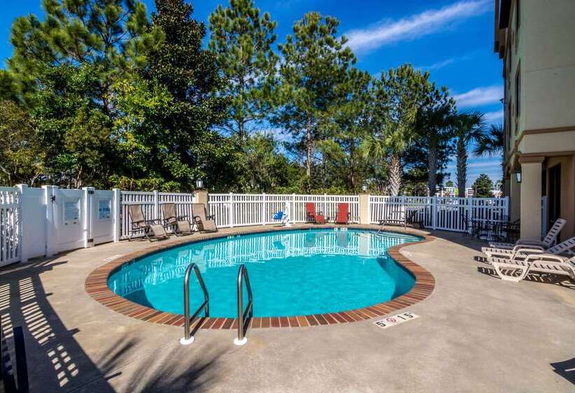 ホテル Comfort Suites