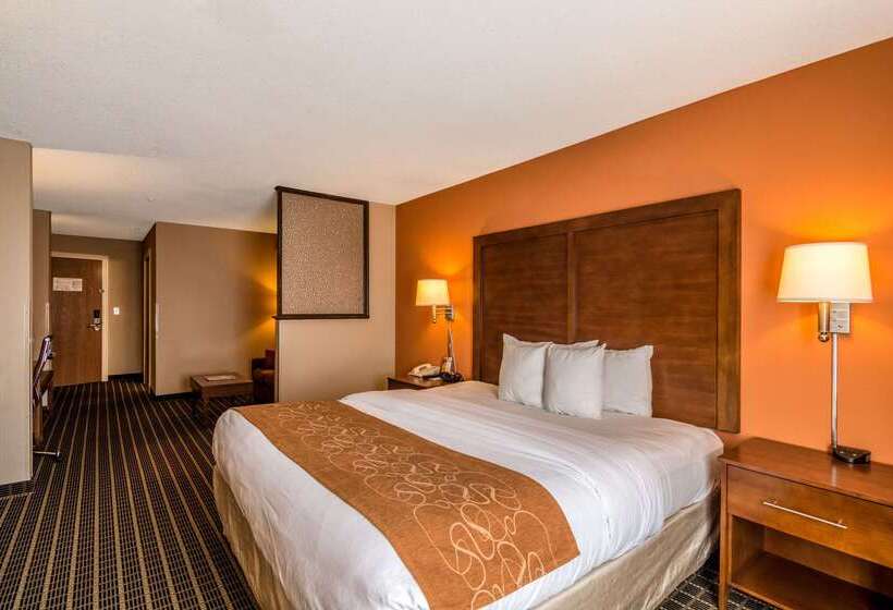 ホテル Comfort Suites