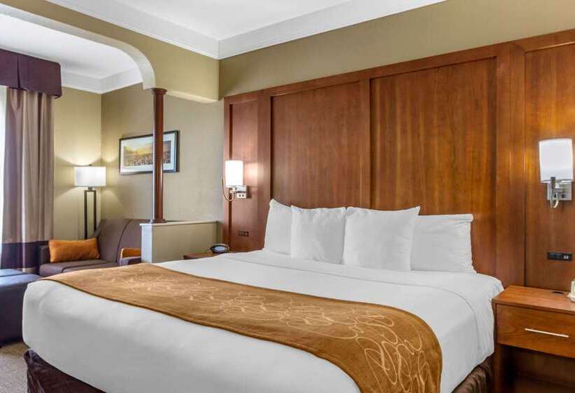 Отель Comfort Suites Plainview