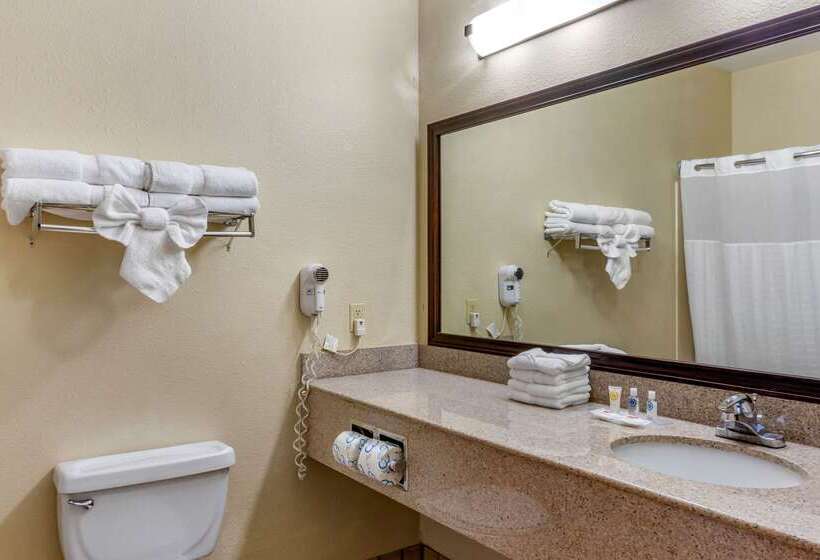 Отель Comfort Suites Plainview