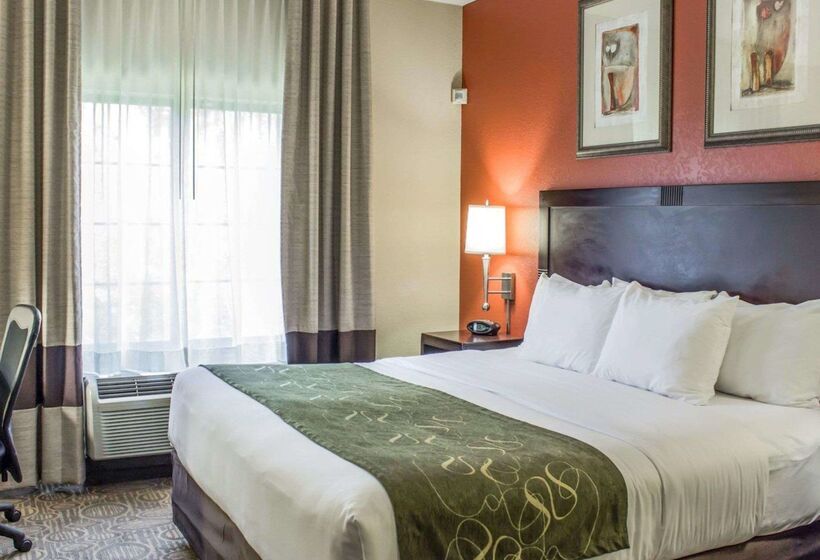 هتل Comfort Suites Regency Park