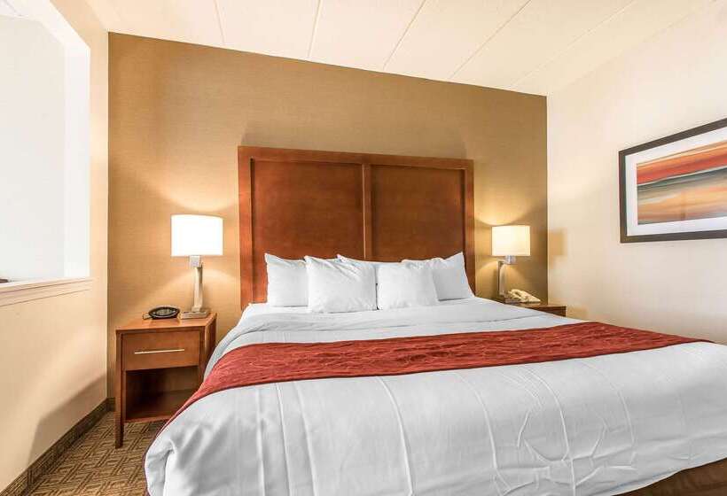 فندق Comfort Suites