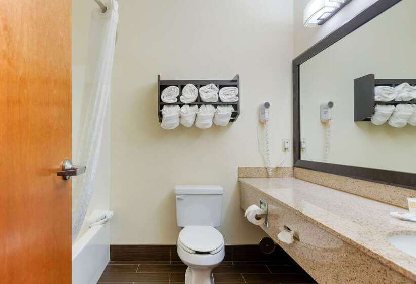 فندق Comfort Suites Stevensville  St. Joseph