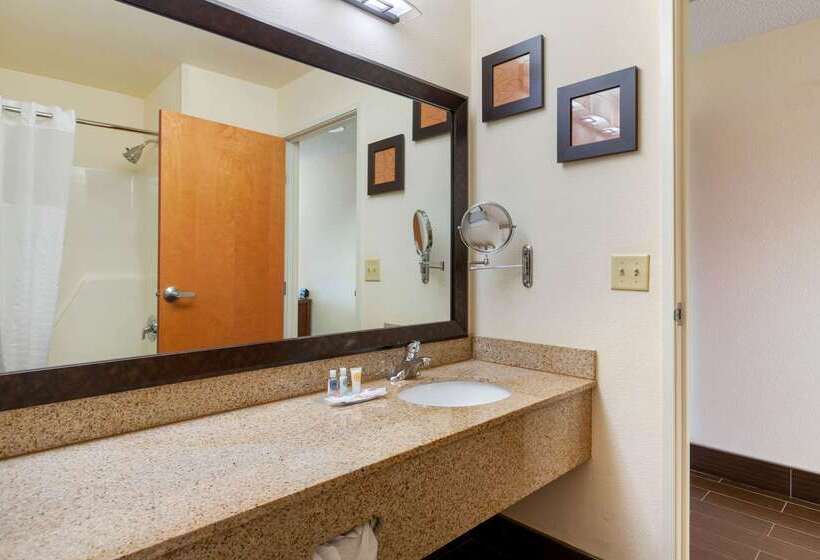 בית מלון כפרי Comfort Suites Stevensville  St. Joseph