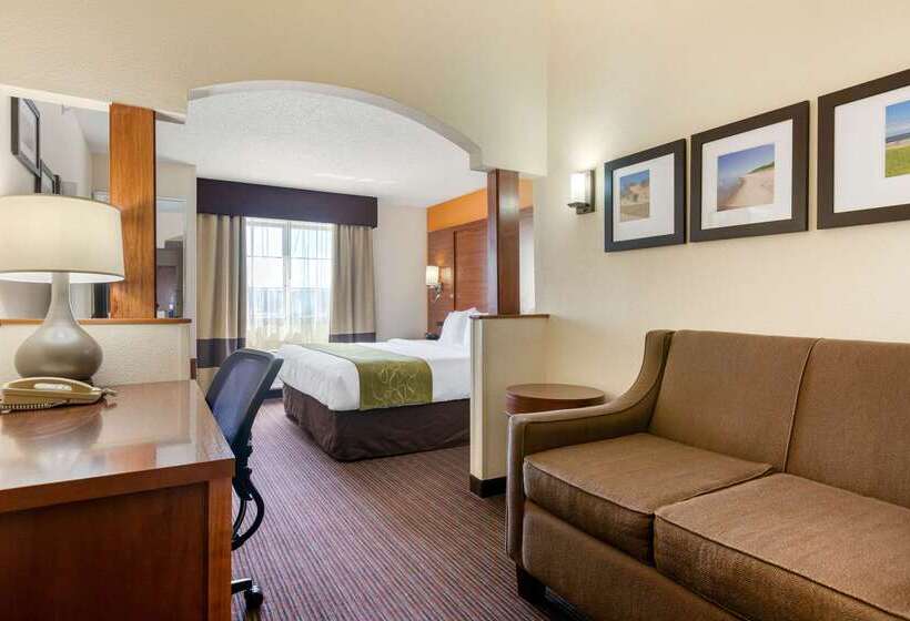 בית מלון כפרי Comfort Suites Stevensville  St. Joseph