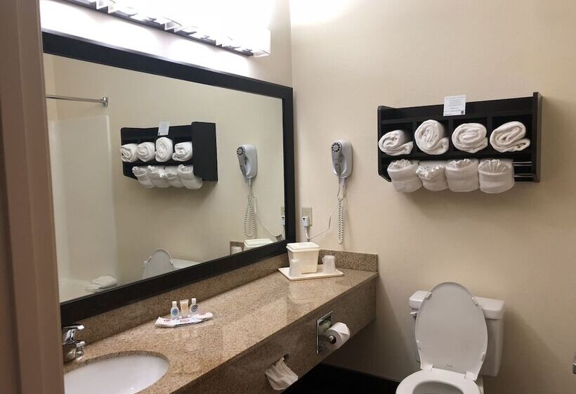 בית מלון כפרי Comfort Suites Stevensville  St. Joseph