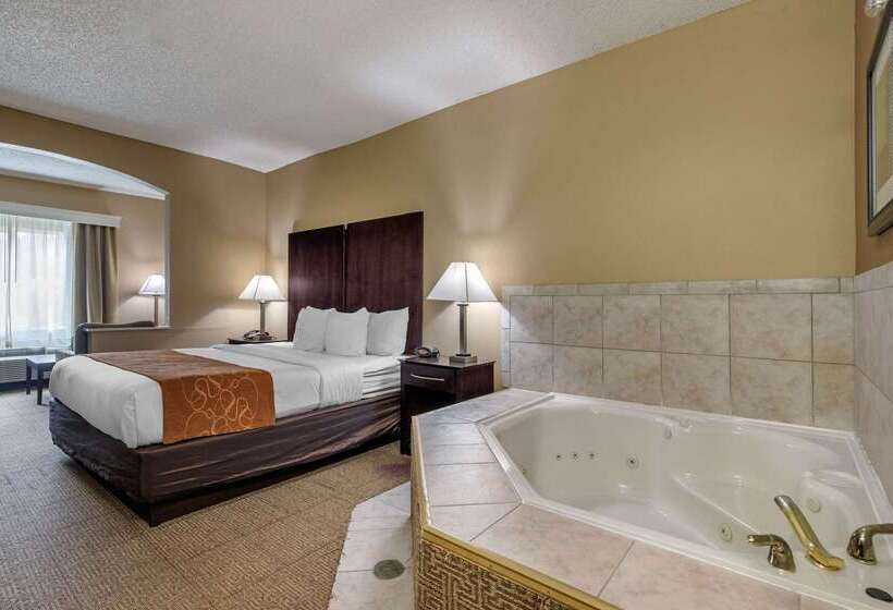 ホテル Comfort Suites The Colony  Plano West