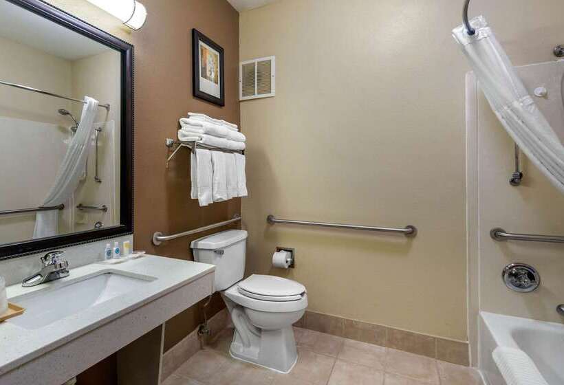 ホテル Comfort Suites The Colony  Plano West