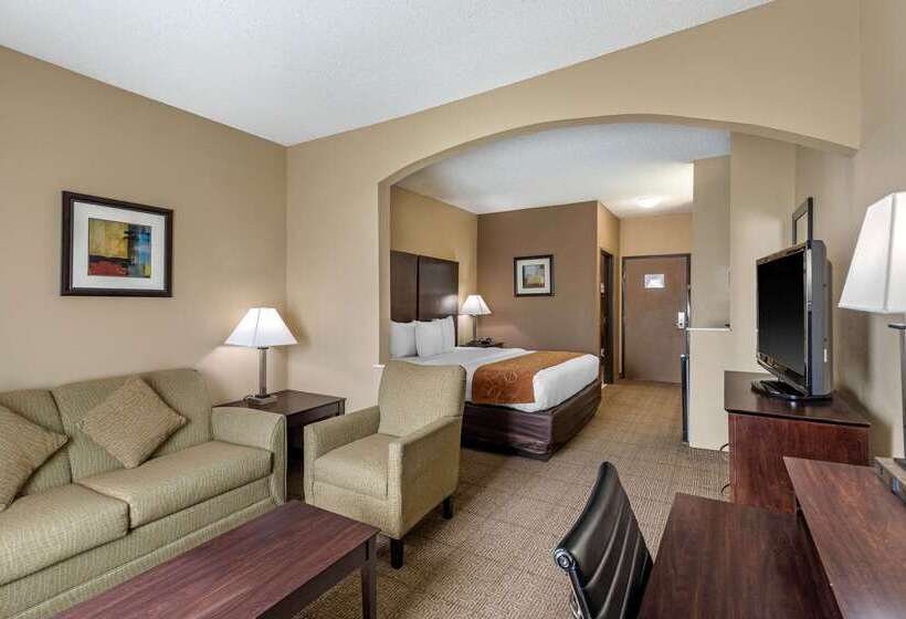ホテル Comfort Suites The Colony  Plano West