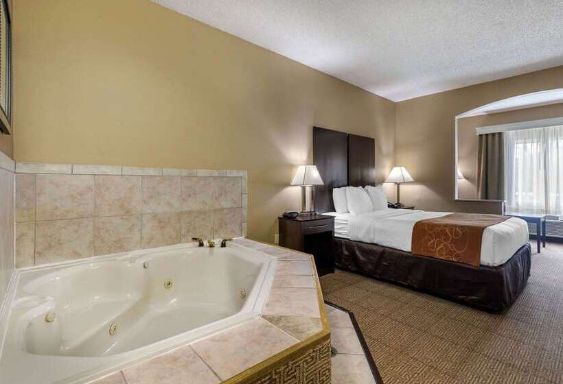 ホテル Comfort Suites The Colony  Plano West