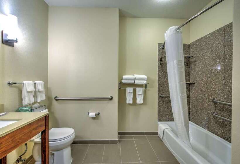 호텔 Comfort Suites Tomball Medical Center