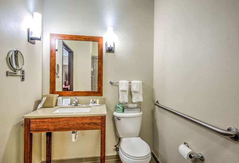 호텔 Comfort Suites Tomball Medical Center