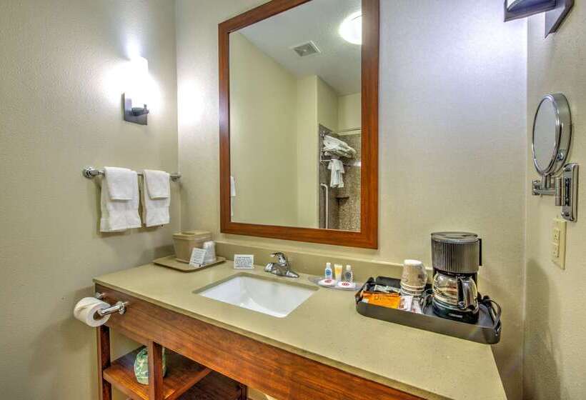 호텔 Comfort Suites Tomball Medical Center