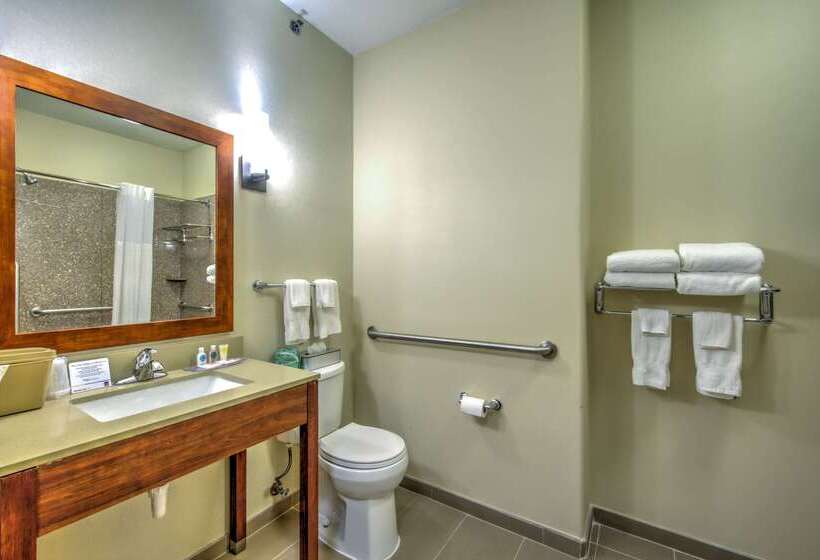호텔 Comfort Suites Tomball Medical Center