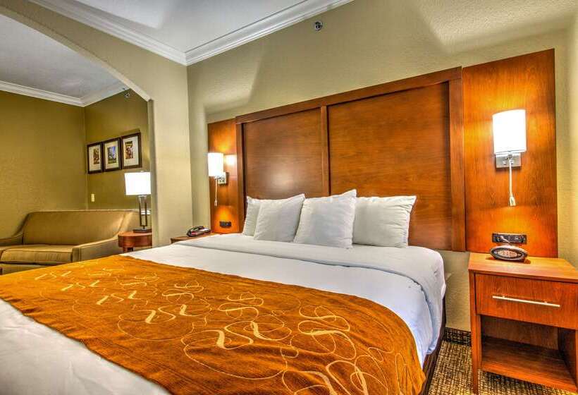 호텔 Comfort Suites Tomball Medical Center