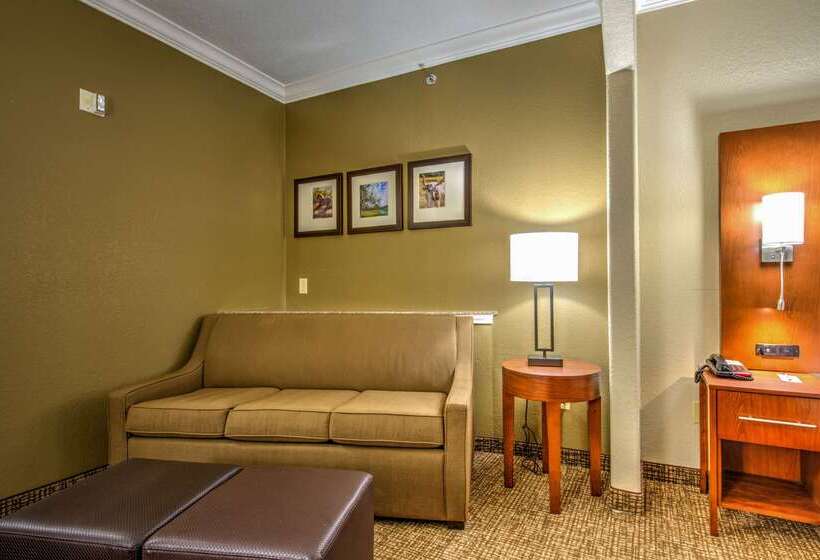 호텔 Comfort Suites Tomball Medical Center