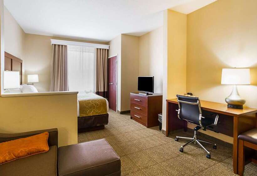 فندق Comfort Suites