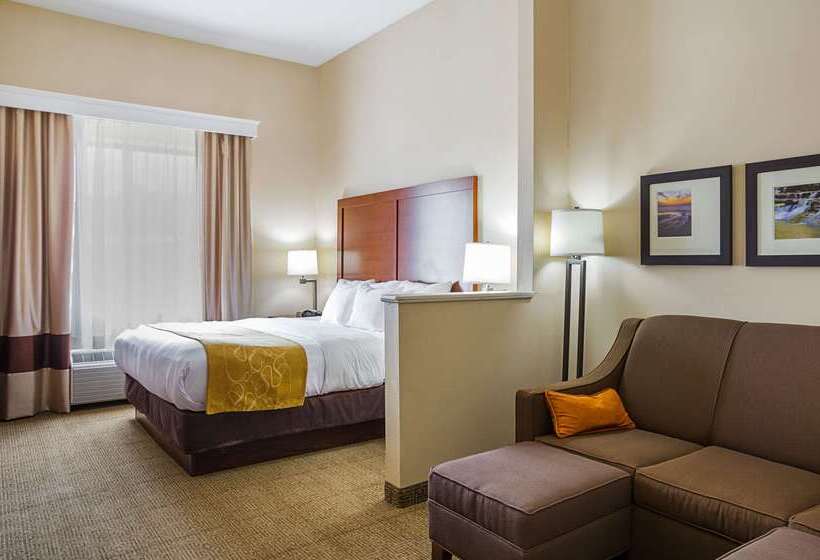 فندق Comfort Suites