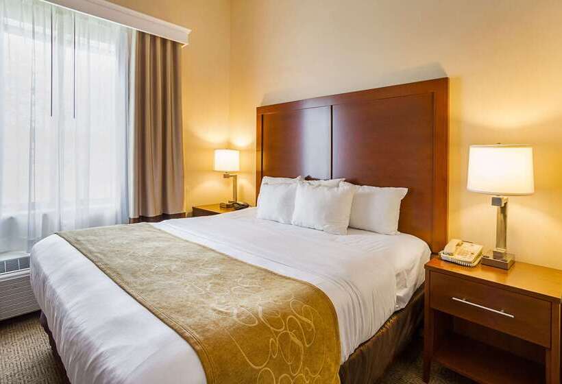 فندق Comfort Suites