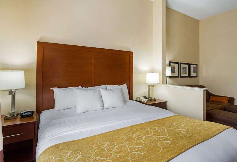 فندق Comfort Suites