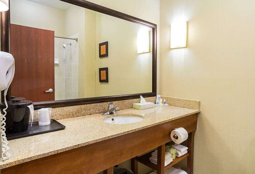 فندق Comfort Suites