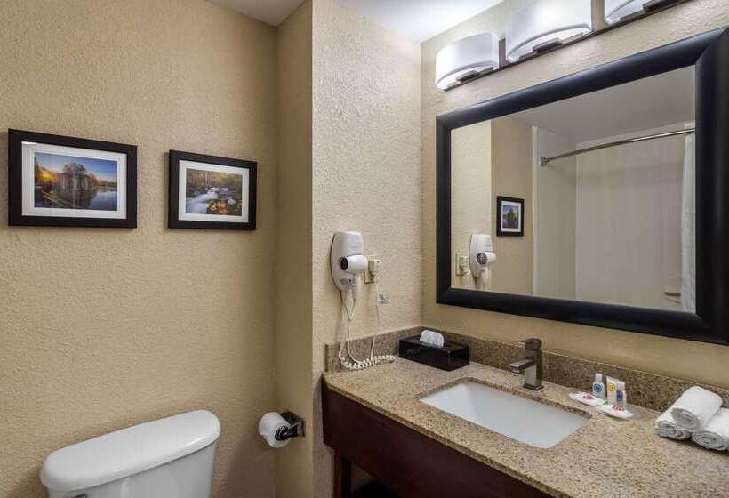فندق Comfort Suites Woodstock   Atlanta North
