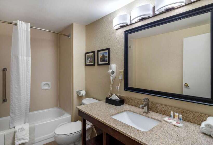 فندق Comfort Suites Woodstock   Atlanta North