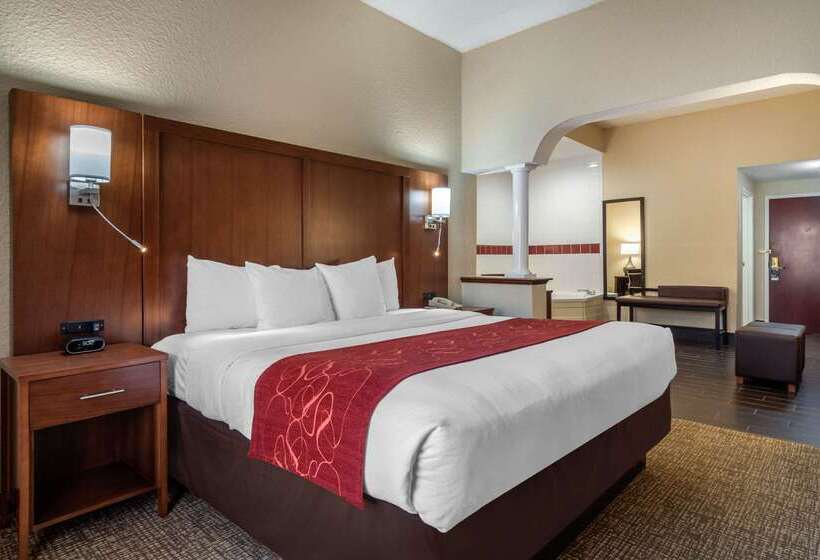 فندق Comfort Suites Woodstock   Atlanta North