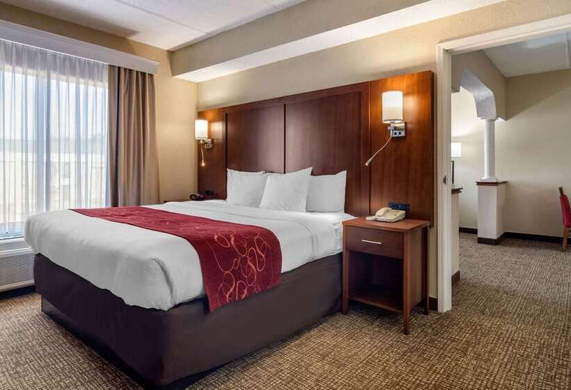 فندق Comfort Suites Woodstock   Atlanta North