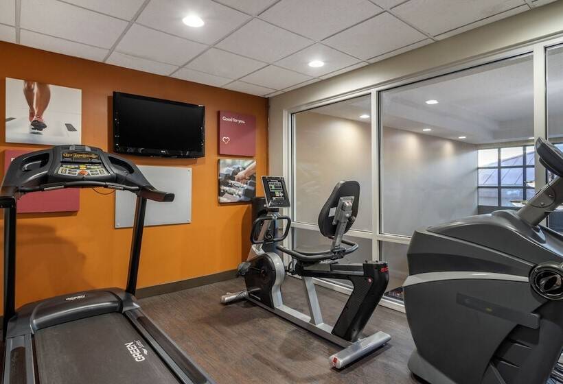 فندق Comfort Suites Woodstock   Atlanta North